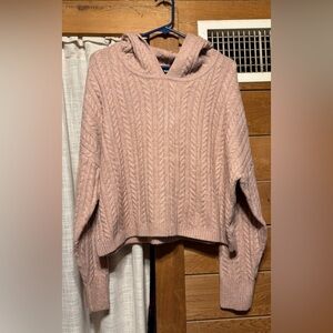 Express Blush Cable Knit Turtleneck Sweater